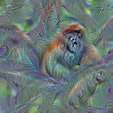 n02492660